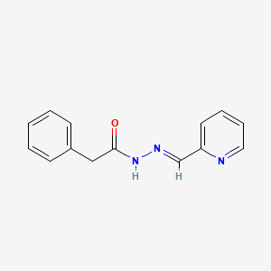 molecular formula C14H13N3O B3866633 2-phenyl-N'-(2-pyridinylmethylene)acetohydrazide 