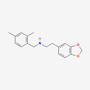 molecular formula C18H21NO2 B3866865 2-(1,3-benzodioxol-5-yl)-N-(2,4-dimethylbenzyl)ethanamine 