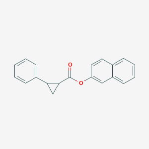 molecular formula C20H16O2 B386743 2-Naphthyl 2-phenylcyclopropanecarboxylate 