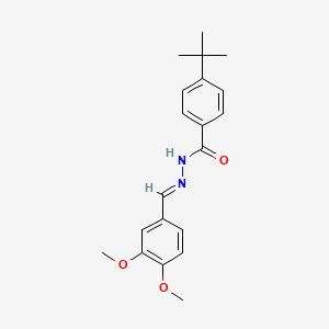 molecular formula C20H24N2O3 B3867540 4-tert-butyl-N'-(3,4-dimethoxybenzylidene)benzohydrazide 