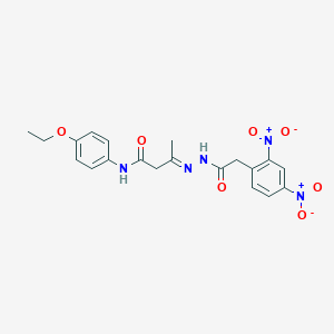 molecular formula C20H21N5O7 B386820 3-{(E)-2-[2-(2,4-dinitrophenyl)acetyl]hydrazono}-N~1~-(4-ethoxyphenyl)butanamide 