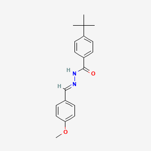 molecular formula C19H22N2O2 B3869152 4-tert-butyl-N'-(4-methoxybenzylidene)benzohydrazide 