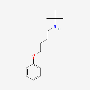 molecular formula C14H23NO B3869334 N-(tert-butyl)-4-phenoxy-1-butanamine 