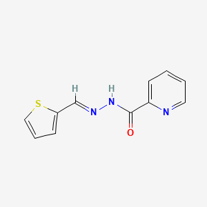 molecular formula C11H9N3OS B3869391 N'-(2-thienylmethylene)-2-pyridinecarbohydrazide 