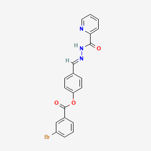 molecular formula C20H14BrN3O3 B3869447 4-[2-(2-pyridinylcarbonyl)carbonohydrazonoyl]phenyl 3-bromobenzoate 