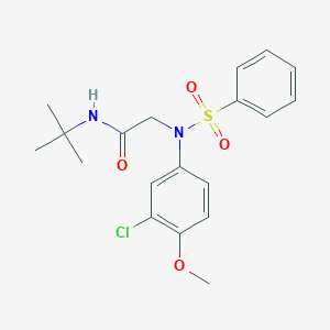 molecular formula C19H23ClN2O4S B3871112 N~1~-(tert-butyl)-N~2~-(3-chloro-4-methoxyphenyl)-N~2~-(phenylsulfonyl)glycinamide 