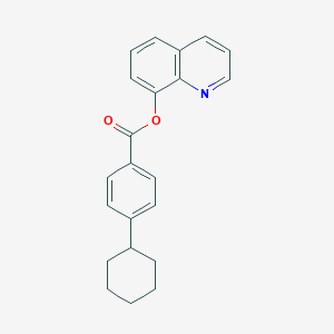 molecular formula C22H21NO2 B387146 8-Quinolinyl 4-cyclohexylbenzoate 