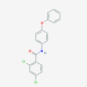 molecular formula C19H13Cl2NO2 B387161 2,4-dichloro-N-(4-phenoxyphenyl)benzamide 