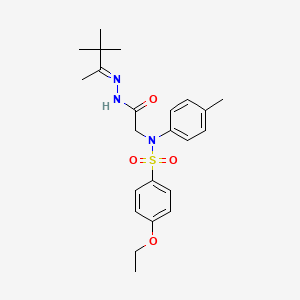 molecular formula C23H31N3O4S B3873407 4-ethoxy-N-(4-methylphenyl)-N-{2-oxo-2-[2-(1,2,2-trimethylpropylidene)hydrazino]ethyl}benzenesulfonamide 
