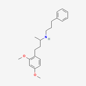 molecular formula C21H29NO2 B3874789 4-(2,4-dimethoxyphenyl)-N-(3-phenylpropyl)-2-butanamine 