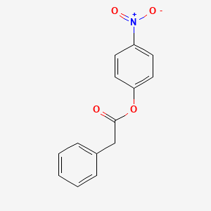 molecular formula C14H11NO4 B3875289 4-nitrophenyl phenylacetate CAS No. 1223-44-5