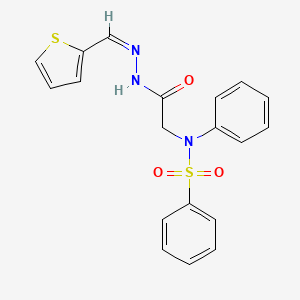 molecular formula C19H17N3O3S2 B3876013 N-{2-oxo-2-[2-(2-thienylmethylene)hydrazino]ethyl}-N-phenylbenzenesulfonamide 