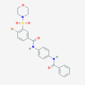 molecular formula C24H22BrN3O5S B388141 N-[4-(benzoylamino)phenyl]-4-bromo-3-(4-morpholinylsulfonyl)benzamide 