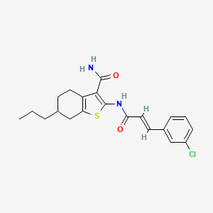 molecular formula C21H23ClN2O2S B3881879 2-{[3-(3-chlorophenyl)acryloyl]amino}-6-propyl-4,5,6,7-tetrahydro-1-benzothiophene-3-carboxamide 