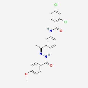 2,4-dichloro-N-{3-[N-(4-methoxybenzoyl)ethanehydrazonoyl]phenyl}benzamide