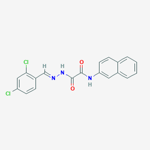 molecular formula C19H13Cl2N3O2 B389777 2-[2-(2,4-dichlorobenzylidene)hydrazino]-N-(2-naphthyl)-2-oxoacetamide 