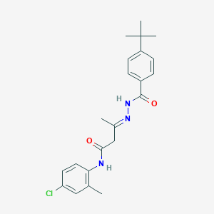 3-[(4-tert-butylbenzoyl)hydrazono]-N-(4-chloro-2-methylphenyl)butanamide