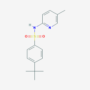 molecular formula C16H20N2O2S B389999 4-tert-butyl-N-(5-methyl-2-pyridinyl)benzenesulfonamide 