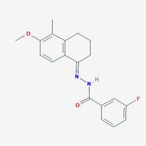 molecular formula C19H19FN2O2 B3900277 3-fluoro-N'-(6-methoxy-5-methyl-3,4-dihydro-1(2H)-naphthalenylidene)benzohydrazide 