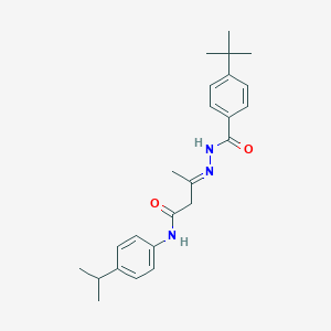 molecular formula C24H31N3O2 B390058 4-tert-butyl-N-[(E)-[4-oxo-4-(4-propan-2-ylanilino)butan-2-ylidene]amino]benzamide 