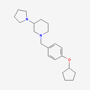 molecular formula C21H32N2O B3902279 1-[4-(cyclopentyloxy)benzyl]-3-(1-pyrrolidinyl)piperidine 