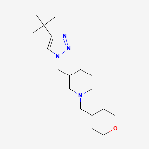 molecular formula C18H32N4O B3904116 3-[(4-tert-butyl-1H-1,2,3-triazol-1-yl)methyl]-1-(tetrahydro-2H-pyran-4-ylmethyl)piperidine 