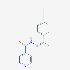 molecular formula C18H21N3O B390659 N'-[1-(4-tert-butylphenyl)ethylidene]isonicotinohydrazide 