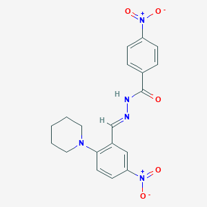 4-nitro-N'-[5-nitro-2-(1-piperidinyl)benzylidene]benzohydrazide