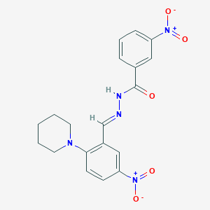 molecular formula C19H19N5O5 B390729 3-nitro-N'-[5-nitro-2-(1-piperidinyl)benzylidene]benzohydrazide 