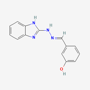 molecular formula C14H12N4O B3908810 3-hydroxybenzaldehyde 1H-benzimidazol-2-ylhydrazone 