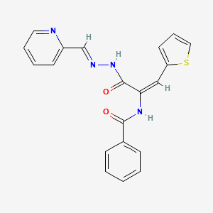 molecular formula C20H16N4O2S B3909254 N-[1-{[2-(2-pyridinylmethylene)hydrazino]carbonyl}-2-(2-thienyl)vinyl]benzamide 