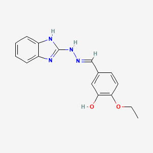 molecular formula C16H16N4O2 B3909271 4-ethoxy-3-hydroxybenzaldehyde 1H-benzimidazol-2-ylhydrazone 