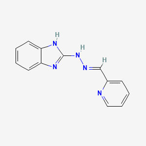 molecular formula C13H11N5 B3909343 2-pyridinecarbaldehyde 1H-benzimidazol-2-ylhydrazone 