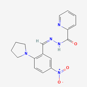 molecular formula C17H17N5O3 B3910269 N'-[5-nitro-2-(1-pyrrolidinyl)benzylidene]-2-pyridinecarbohydrazide 