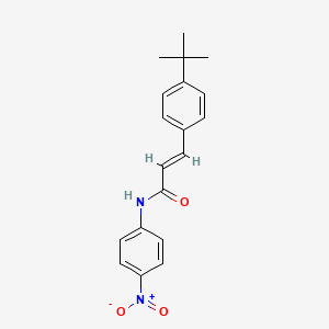 molecular formula C19H20N2O3 B3914431 3-(4-tert-butylphenyl)-N-(4-nitrophenyl)acrylamide 