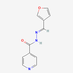 molecular formula C11H9N3O2 B3914484 N'-(3-furylmethylene)isonicotinohydrazide 