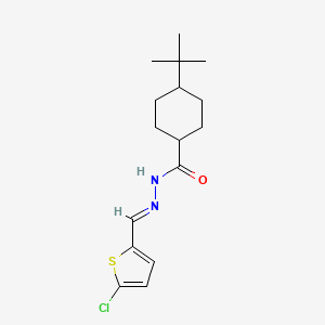 4-tert-butyl-N'-[(5-chloro-2-thienyl)methylene]cyclohexanecarbohydrazide