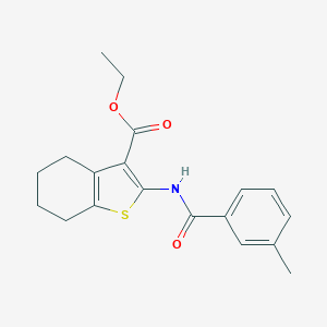 molecular formula C19H21NO3S B391631 Ethyl 2-[(3-methylbenzoyl)amino]-4,5,6,7-tetrahydro-1-benzothiophene-3-carboxylate 