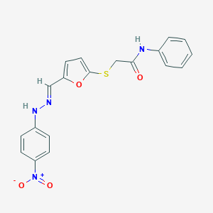 molecular formula C19H16N4O4S B391671 2-{[5-(2-{4-nitrophenyl}carbohydrazonoyl)-2-furyl]sulfanyl}-N-phenylacetamide 