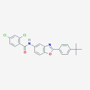 molecular formula C24H20Cl2N2O2 B391713 N-[2-(4-tert-butylphenyl)-1,3-benzoxazol-5-yl]-2,4-dichlorobenzamide 