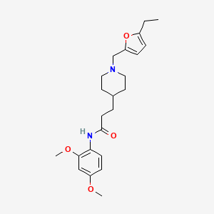 molecular formula C23H32N2O4 B3918070 N-(2,4-dimethoxyphenyl)-3-{1-[(5-ethyl-2-furyl)methyl]-4-piperidinyl}propanamide 