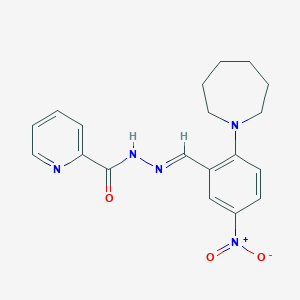 N'-[2-(1-azepanyl)-5-nitrobenzylidene]-2-pyridinecarbohydrazide