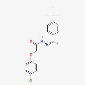 molecular formula C19H21ClN2O2 B3919718 N'-(4-tert-butylbenzylidene)-2-(4-chlorophenoxy)acetohydrazide 