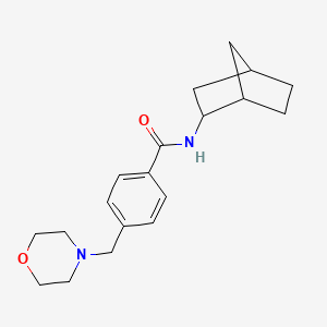 molecular formula C19H26N2O2 B3928871 N~1~-BICYCLO[2.2.1]HEPT-2-YL-4-(MORPHOLINOMETHYL)BENZAMIDE 