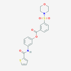 3-[(2-Thienylcarbonyl)amino]phenyl 3-(morpholinosulfonyl)benzoate