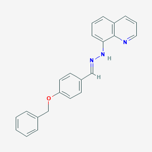 molecular formula C23H19N3O B393032 4-(Benzyloxy)benzaldehyde 8-quinolinylhydrazone 