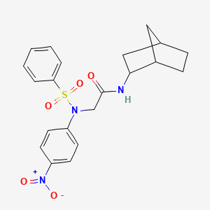 N~1~-bicyclo[2.2.1]hept-2-yl-N~2~-(4-nitrophenyl)-N~2~-(phenylsulfonyl)glycinamide