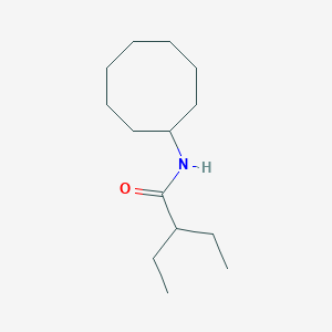 N-cyclooctyl-2-ethylbutanamide