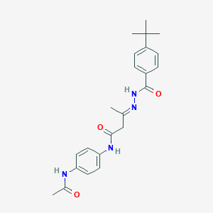 molecular formula C23H28N4O3 B393196 N-[4-(acetylamino)phenyl]-3-[(4-tert-butylbenzoyl)hydrazono]butanamide 