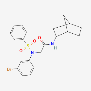 molecular formula C21H23BrN2O3S B3933087 N~1~-bicyclo[2.2.1]hept-2-yl-N~2~-(3-bromophenyl)-N~2~-(phenylsulfonyl)glycinamide 